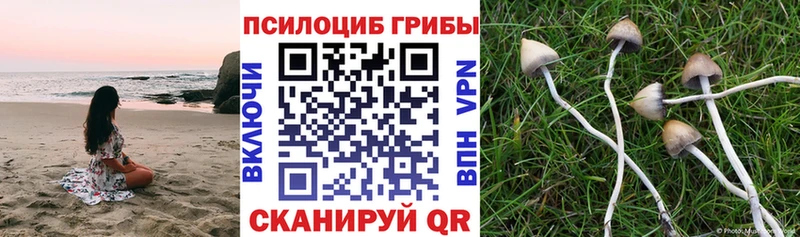Псилоцибиновые грибы мухоморы Краснодар
