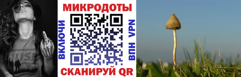 купить Краснодар Галлюциногенные грибы мицелий
